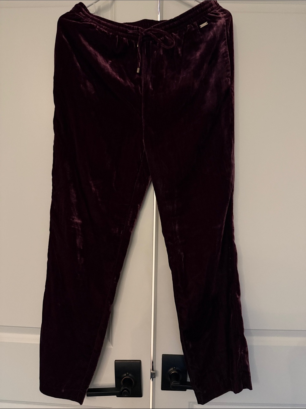 Armani Exchange Velvet Pants in Deep Plum